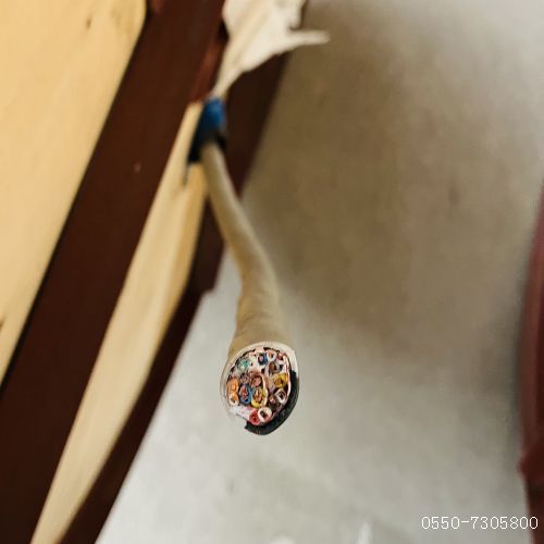 茄子产精国品免费入口