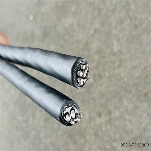 茄子产精国品免费入口