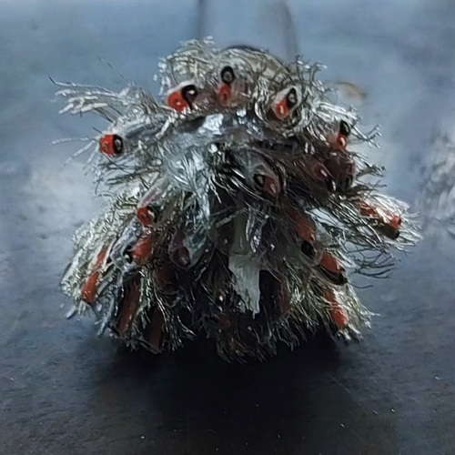 茄子产精国品免费入口