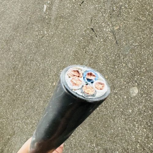 茄子产精国品免费入口
