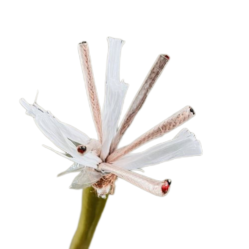 茄子产精国品免费入口