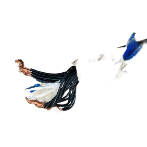 茄子产精国品免费入口