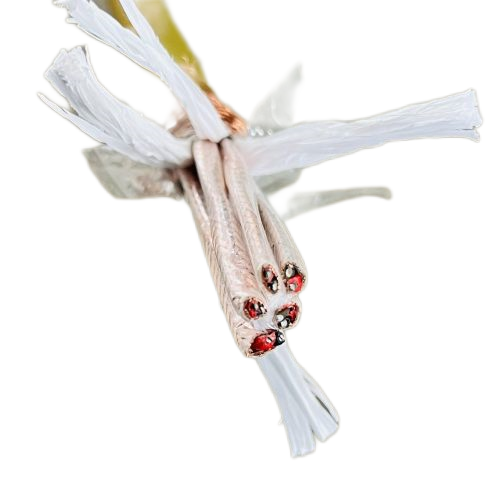 茄子产精国品免费入口