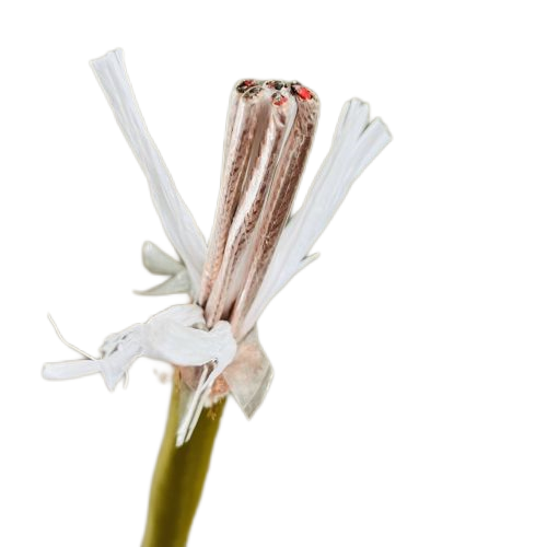 茄子产精国品免费入口