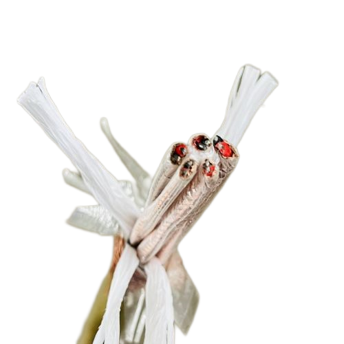 茄子产精国品免费入口