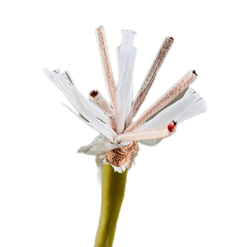 茄子产精国品免费入口