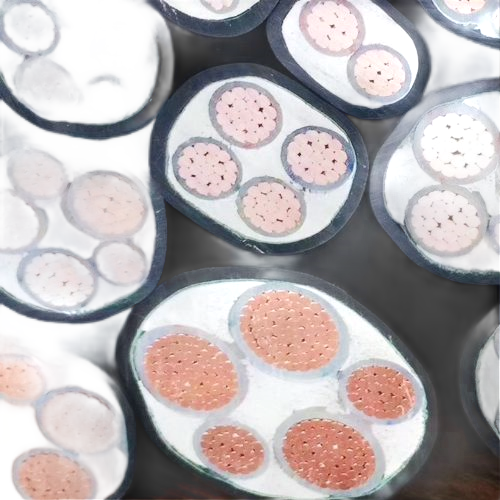 茄子产精国品免费入口