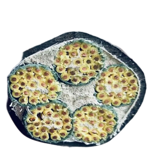 茄子产精国品免费入口