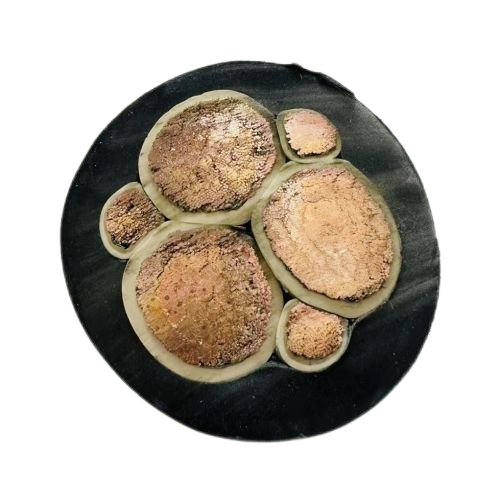 茄子产精国品免费入口