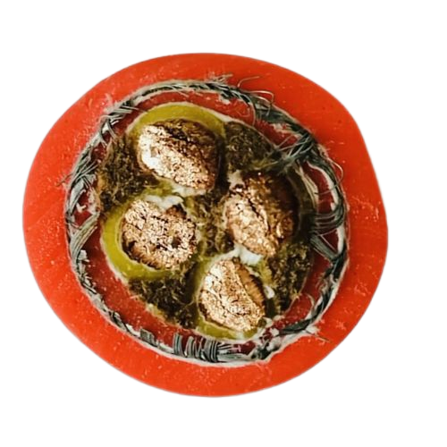 茄子产精国品免费入口