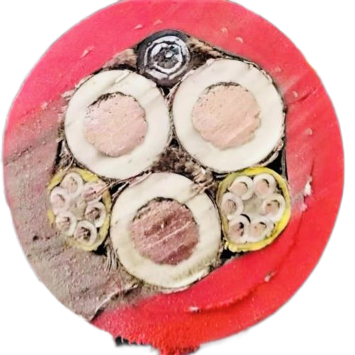 茄子产精国品免费入口